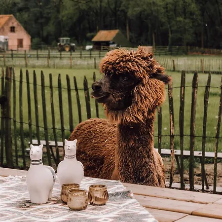 Prive Alpaca Glamping Hoogstraten Luksusowy namiot *
